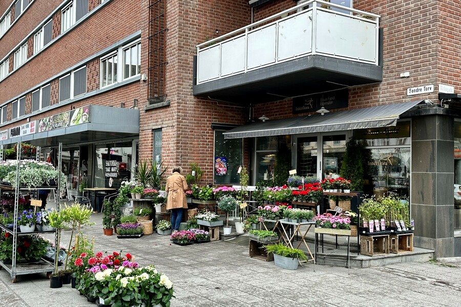 Stua-Fjeld Blomster 