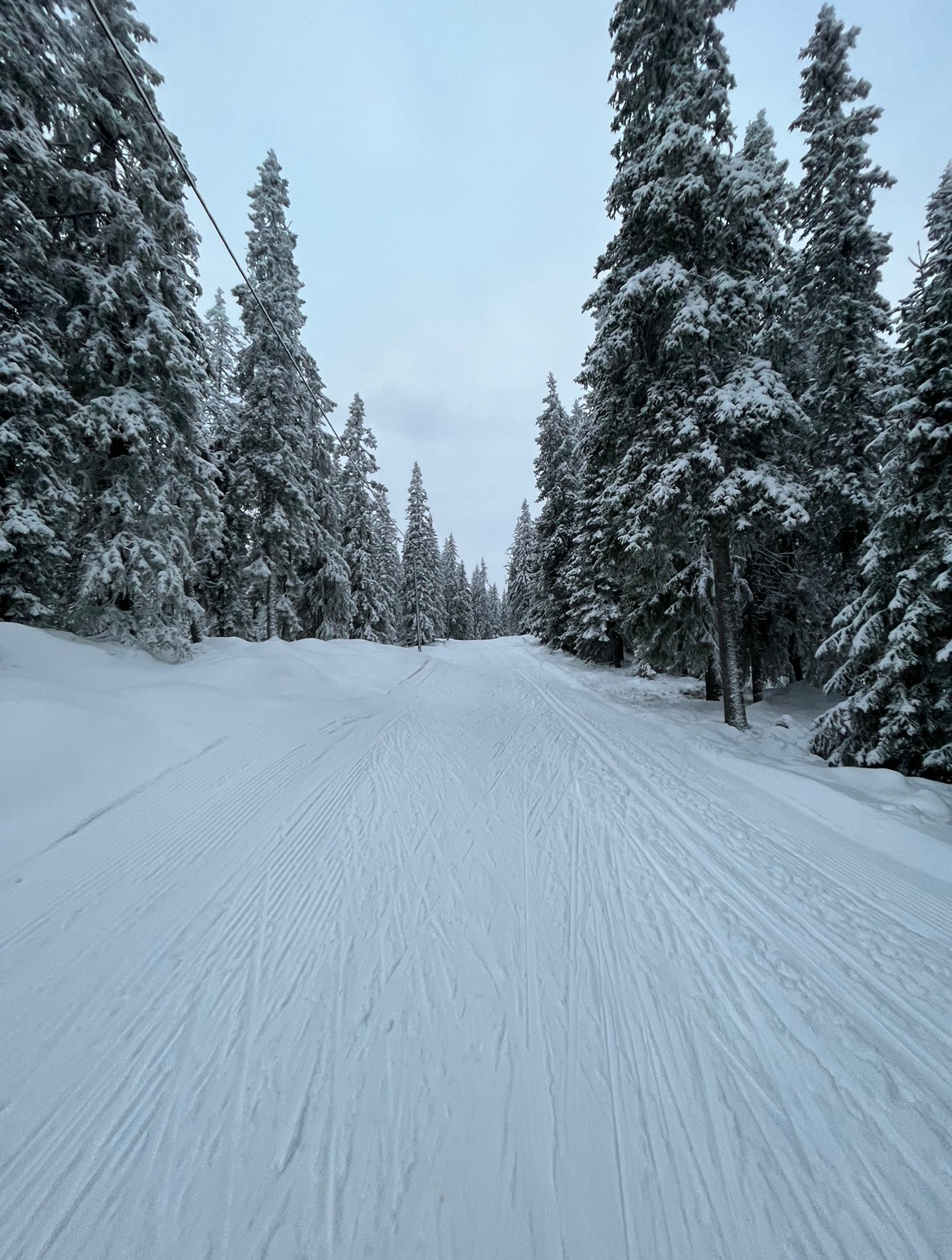 Bilder fra skiløype