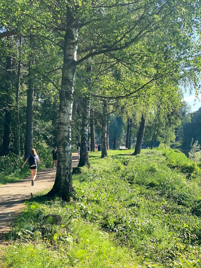 Elvelangs ved Bystranda i Schjongslunden